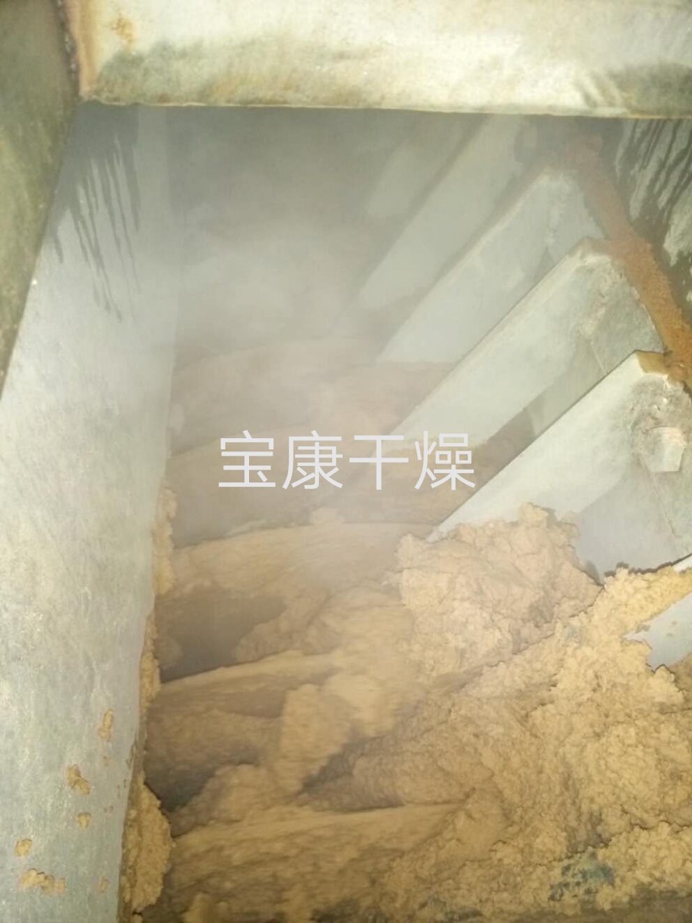 不仅如